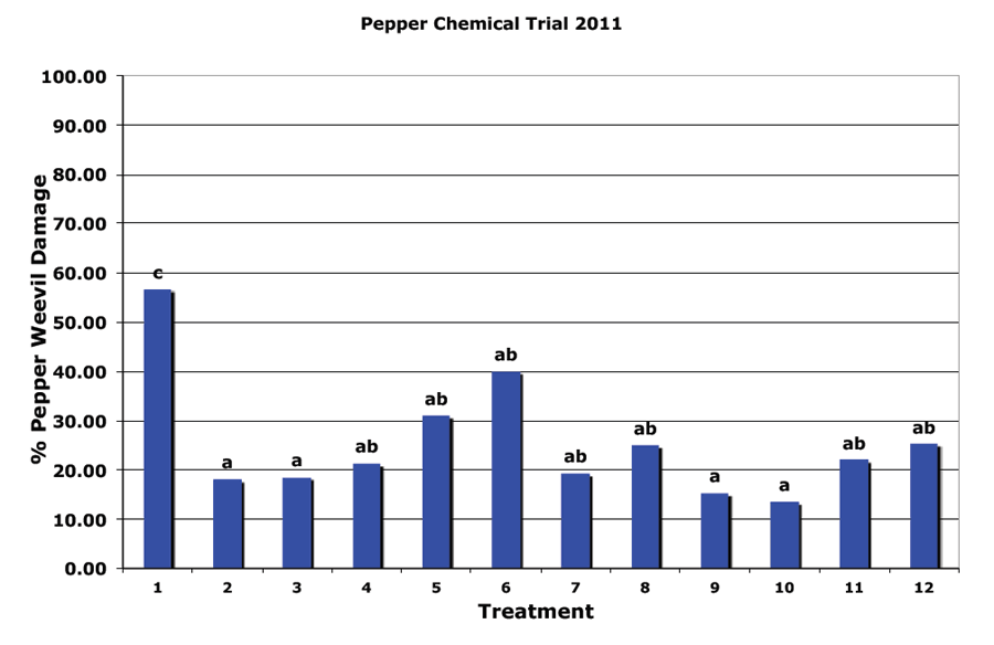 Pepper weevil damage